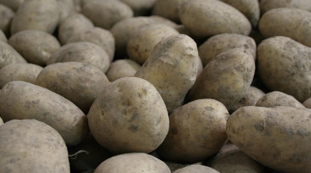 В белорусских магазинах запретили продавать мелкую картошку