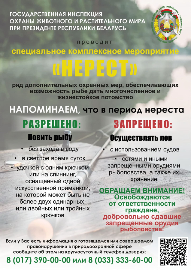Нерест