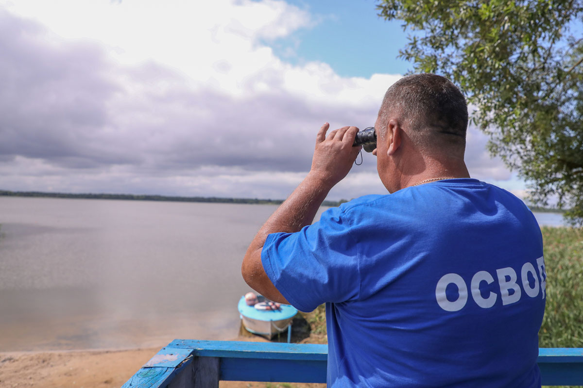 Акция «Один день с ОСВОД» стартует по всей стране с 1 мая