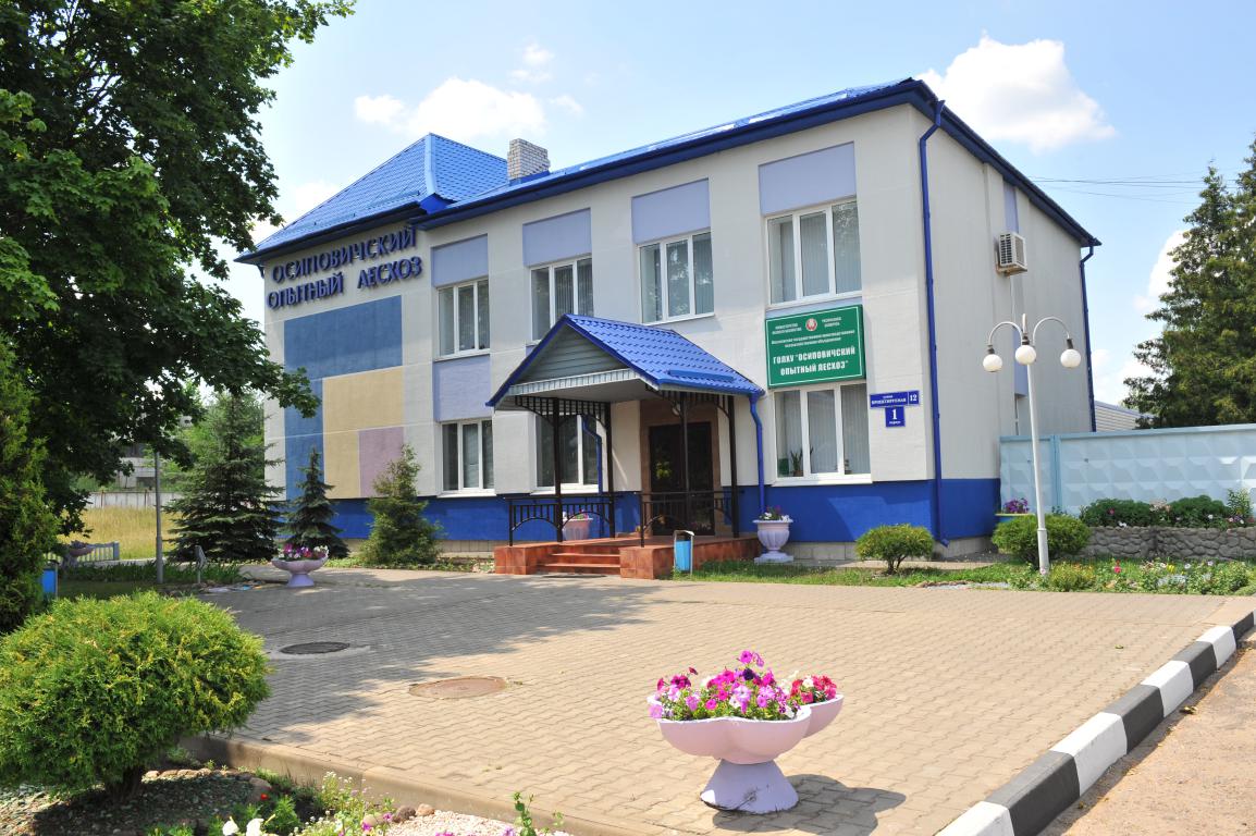 Осиповичский опытный лесхоз