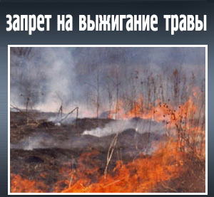 О запрете выжигания сухой растительности
