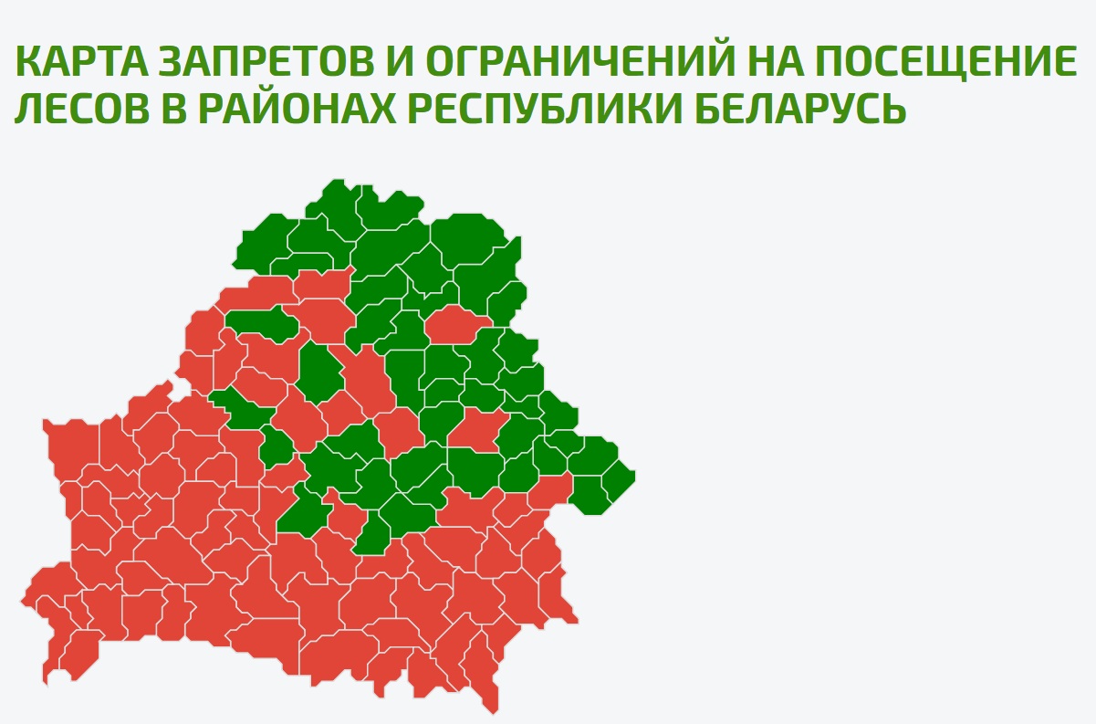 В Осиповичском районе на сегодняшний день нет запрета на посещение лесов. На сайте Минлесхоза можно ознакомиться с картой запретов и ограничений на посещение лесов