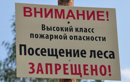 Более 50 человек заплатили штрафы за нарушение запрета о посещении лесов в Могилевском районе