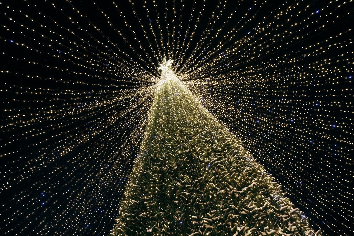 Сегодня, 15 декабря, приглашаем всех жителей города вместе с детьми на торжественное зажжение огней на главной елке района  на пл.Ленина!