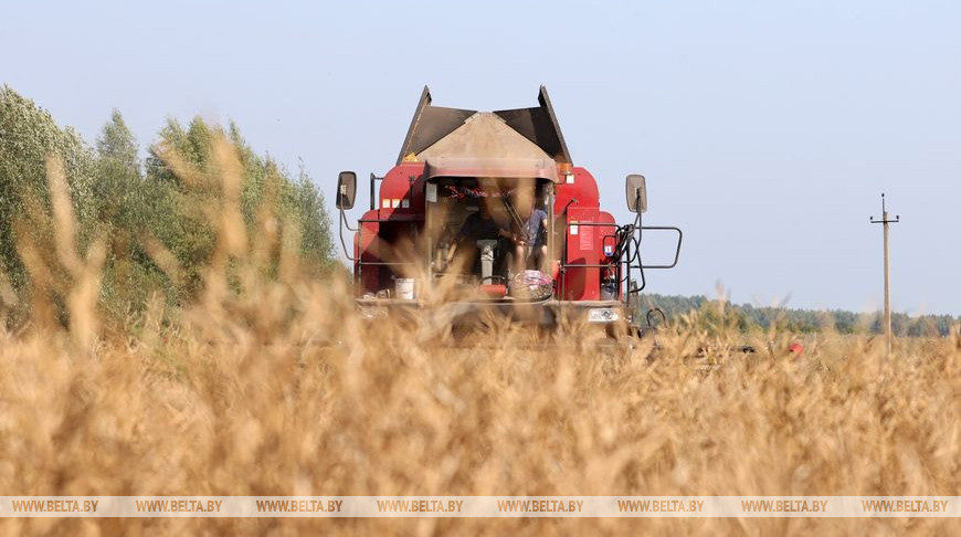 У фокусе ўвагі пракуратуры Магілёўскай вобласці - гатоўнасць АПК да ўборачнай і сяўбы азімых