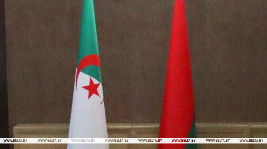 Lukashenko to pay official visit to Algeria on 2-3 December