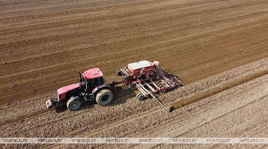 Spring planting in Belarus 82.7% complete