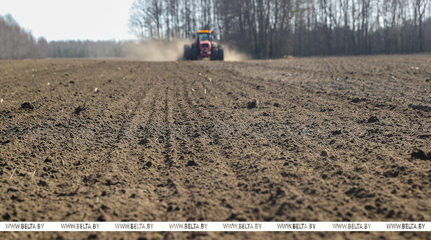 Александру Лукашенко доложили о ходе весенних полевых работ в Беларуси