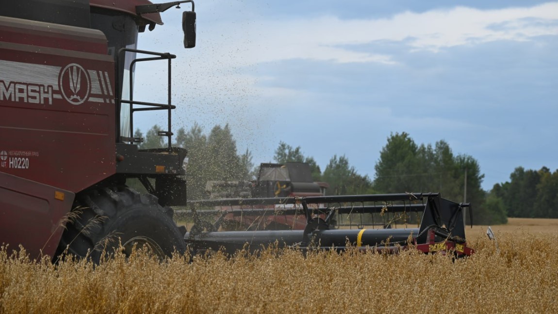 В Могилевской области убрано 59% зерновых и зернобобовых