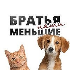Молодежь Могилевщины запускает новый проект "Братья наши меньшие"