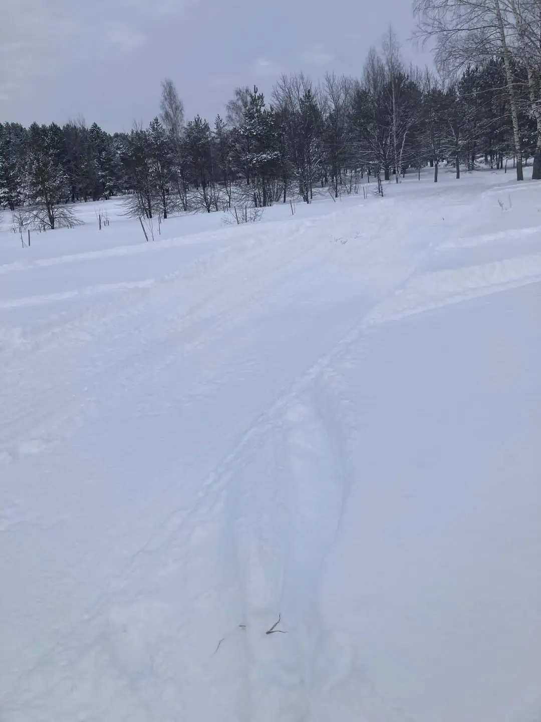В Осиповичах местные жители подготовили две лыжные трассы