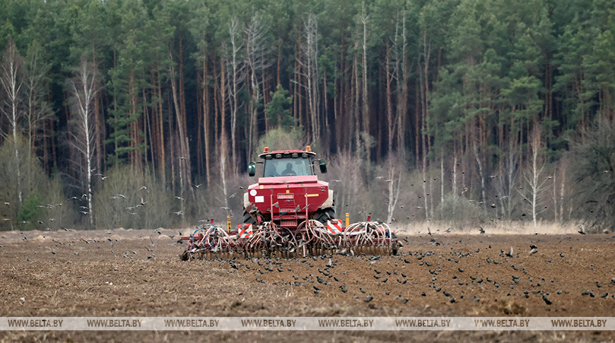 Ideal conditions for agriculture after winter, Lukashenko says