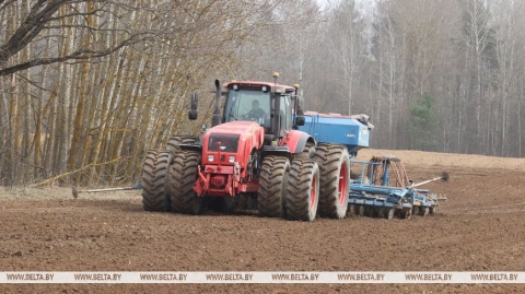 У Магілёўскім раёне ідзе масавая сяўба ранніх яравых збожжавых і зернебабовых культур