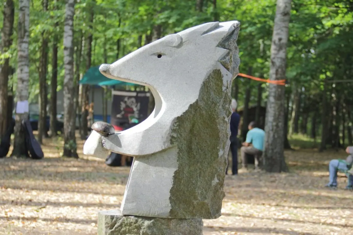 Как насчет грибалки? Экофестиваль “Тихая охота” пройдет на Осиповичской земле 13-14 сентября