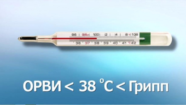 Внимание: грипп!