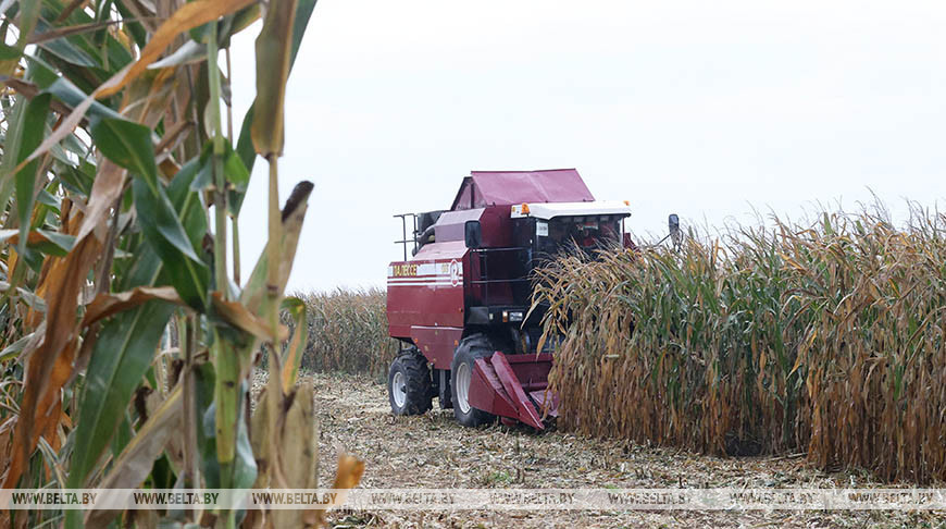 Lukashenko threatens to fire governors for failing to complete field works