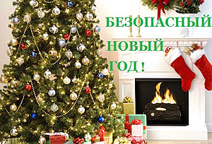 Акция "Безопасный Новый год" стартует в Беларуси 8 декабря