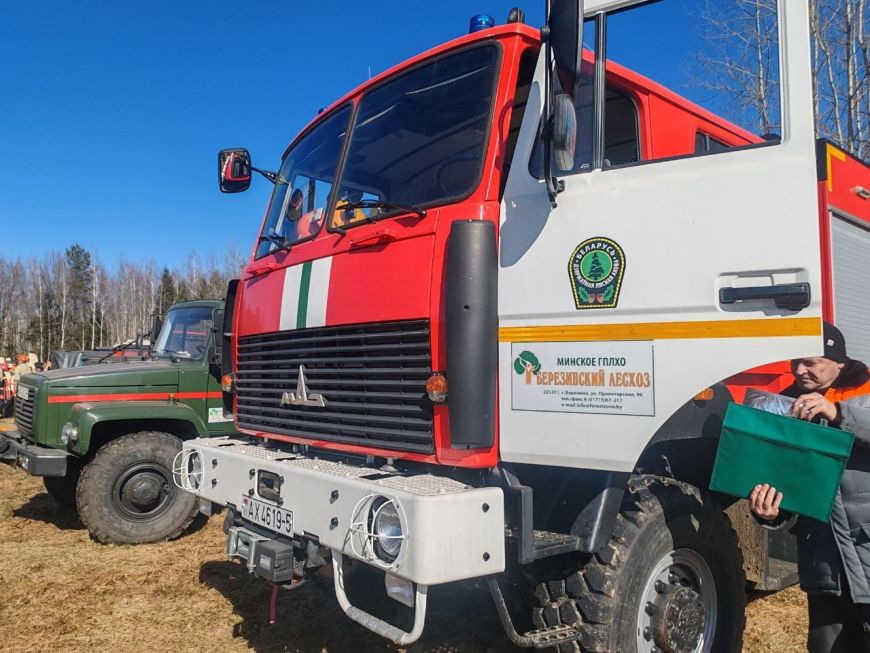 Как в Беларуси предотвращают лесные пожары: человеческий фактор, видеомониторинг и первые итоги сезона