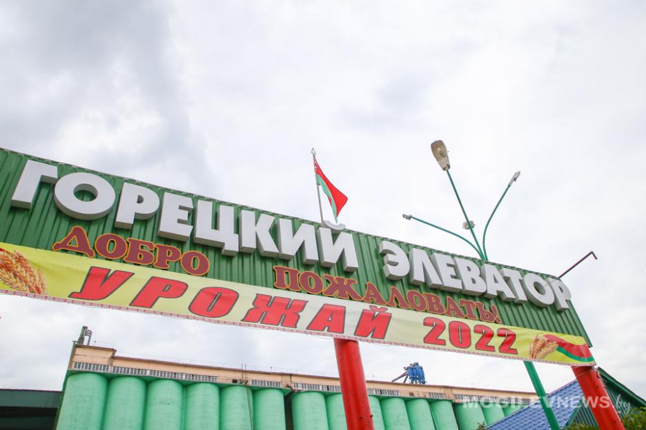 Круглосуточно на приемке зерна нового урожая работает "Горецкий элеватор"