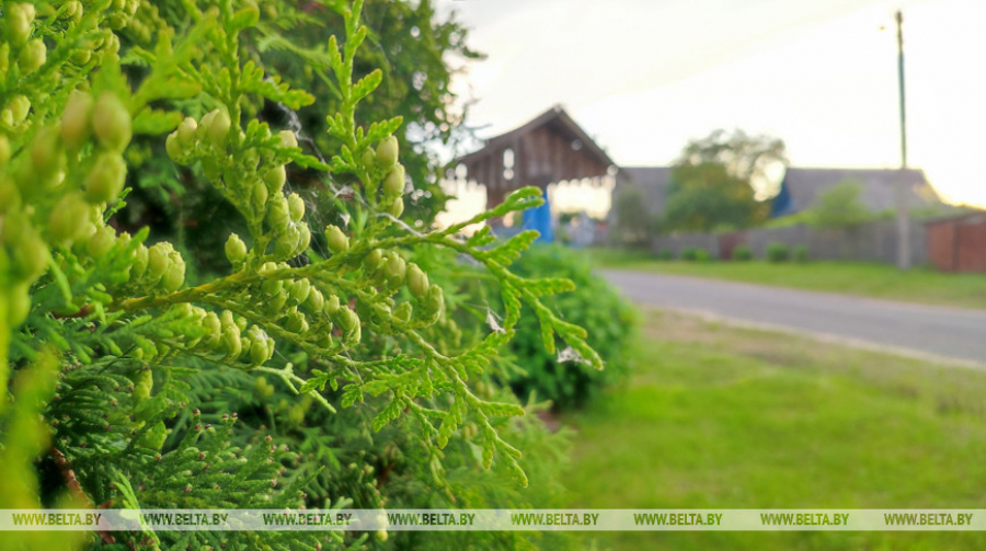 Lukashenko passes decree to legalize unauthorized construction projects