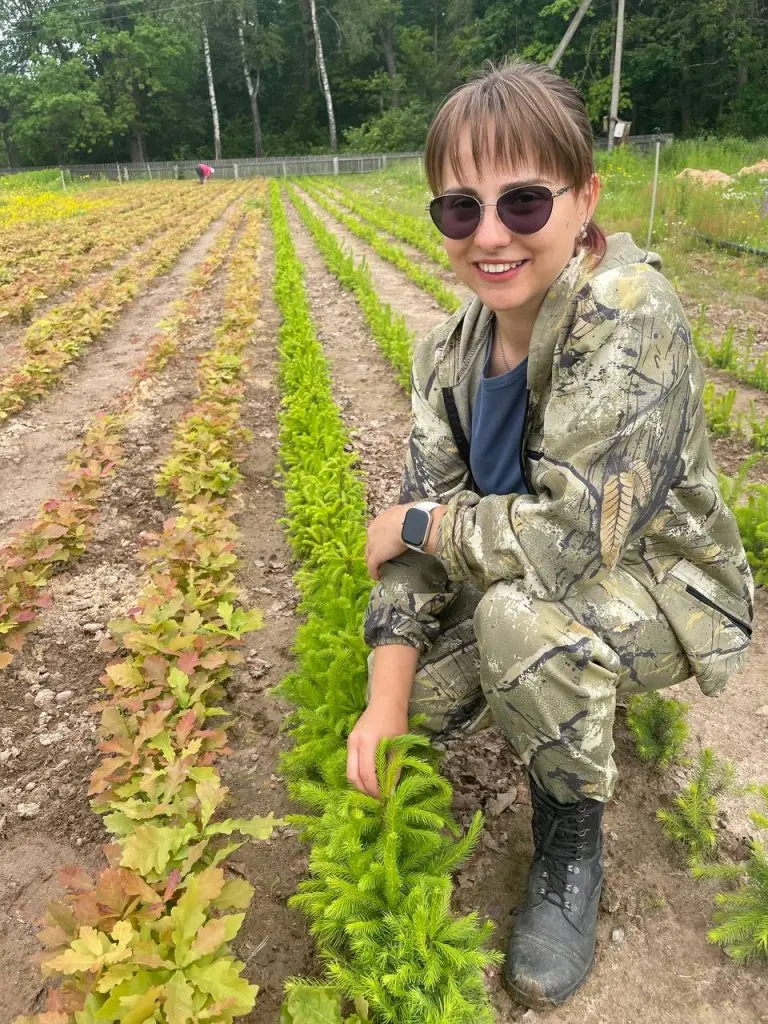 Жорновской экспериментальной лесной базой Института леса НАН Беларуси ведется масштабная перестройка лесопитомника возле деревни Дуброва