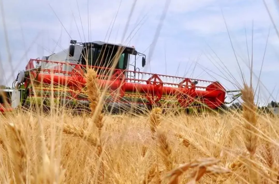 Итоги районного соревнования за достижение высоких показателей на уборке урожая зерновых и зернобобовых растений