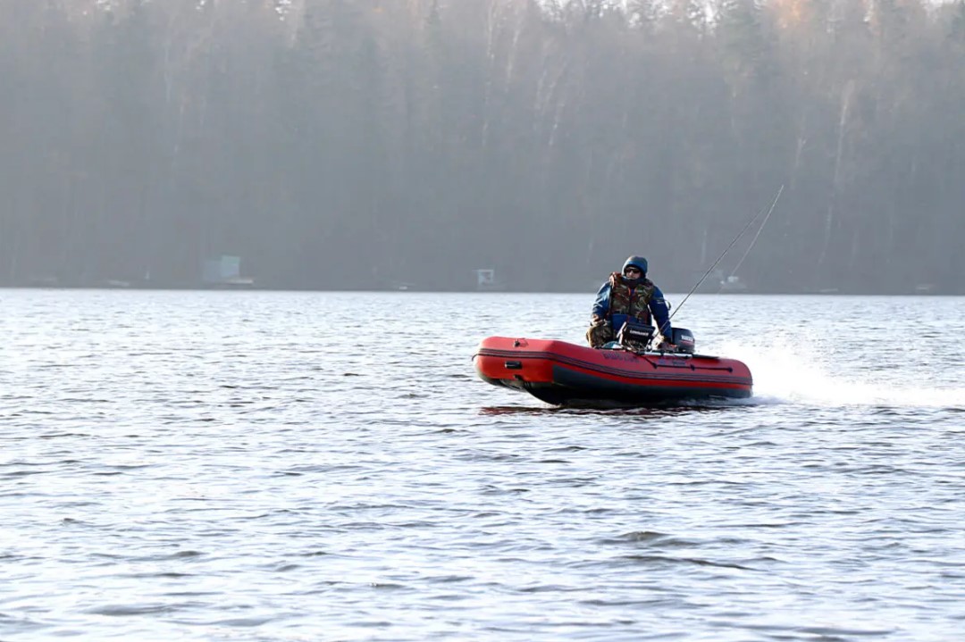 Где ловить рыбу в Осиповичах: безопасные места