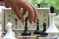 Фестиваль по быстрым шахматам состоится в Осиповичах 24-25 октября