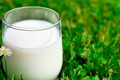 «Бабушкина крынка» приступила к выпуску новой линейки молочной продукции под названием «Свежие новости»