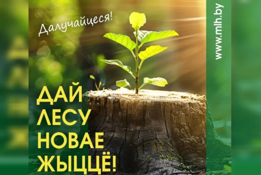 Акцыя “Дай лесу новае жыццё!”