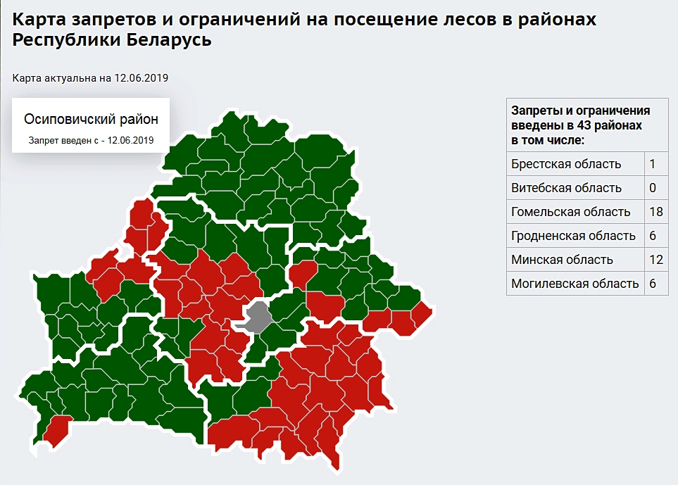 В Осиповичском районе введён запрет на посещение лесов