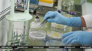 В Беларуси 2017 год объявлен Годом науки 