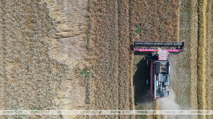 Lukashenko rebuffs criticism about mobilization economy during harvesting campaign