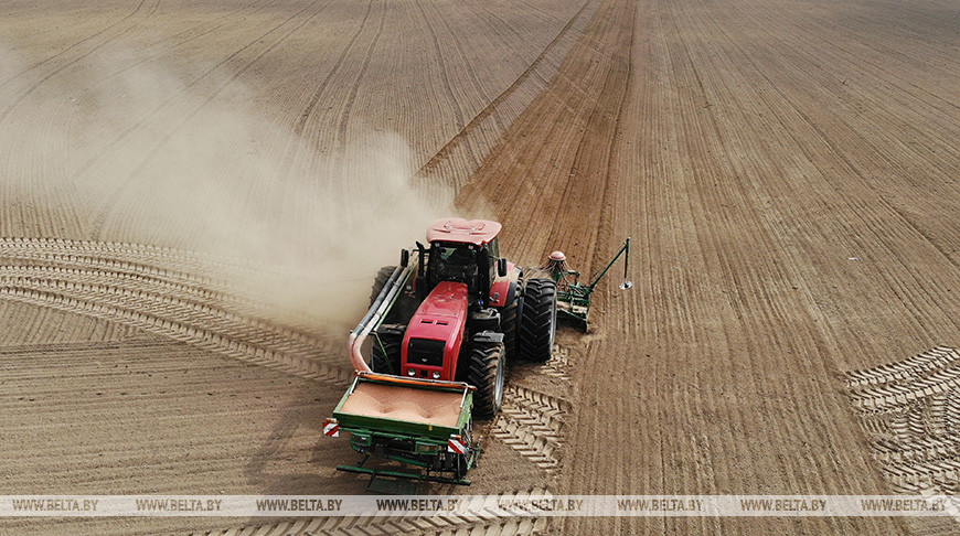 Lukashenko wants winter crops sown within one week