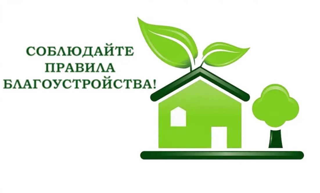 Начальник отдела жилищно-коммунального хозяйства Осиповичского райисполкома Надежда Подлипская рассказывает про изменения в правилах благоустройства и содержания населенных пунктов
