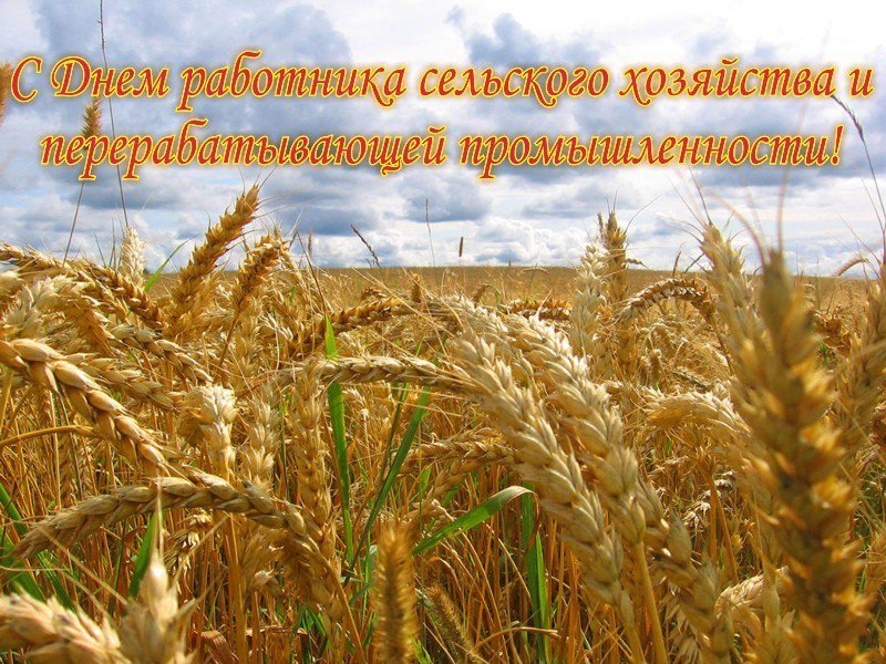 Поздравление  К.А.Жигуцкого и С.П.Сувеева с Днём работников сельского хозяйства и перерабатывающей промышленности агропромышленного комплекса