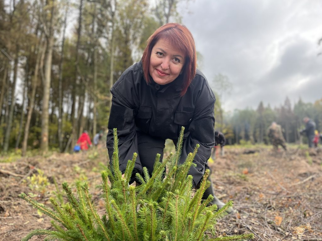 В Могилевской области профсоюзы высадили 10 тысяч саженцев ели и липы