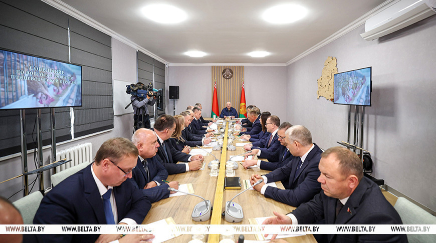 Тренды птицеводства. Лукашенко собрал в Солигорске совещание по развитию отрасли
