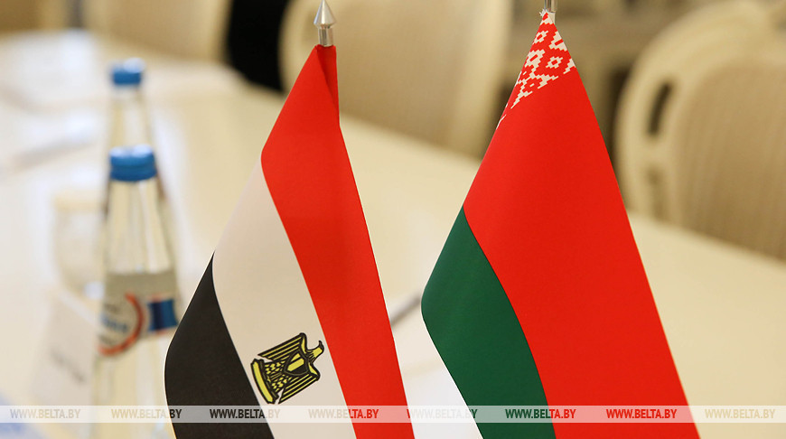 Belarus, Egypt share opinions on diplomatic personnel training