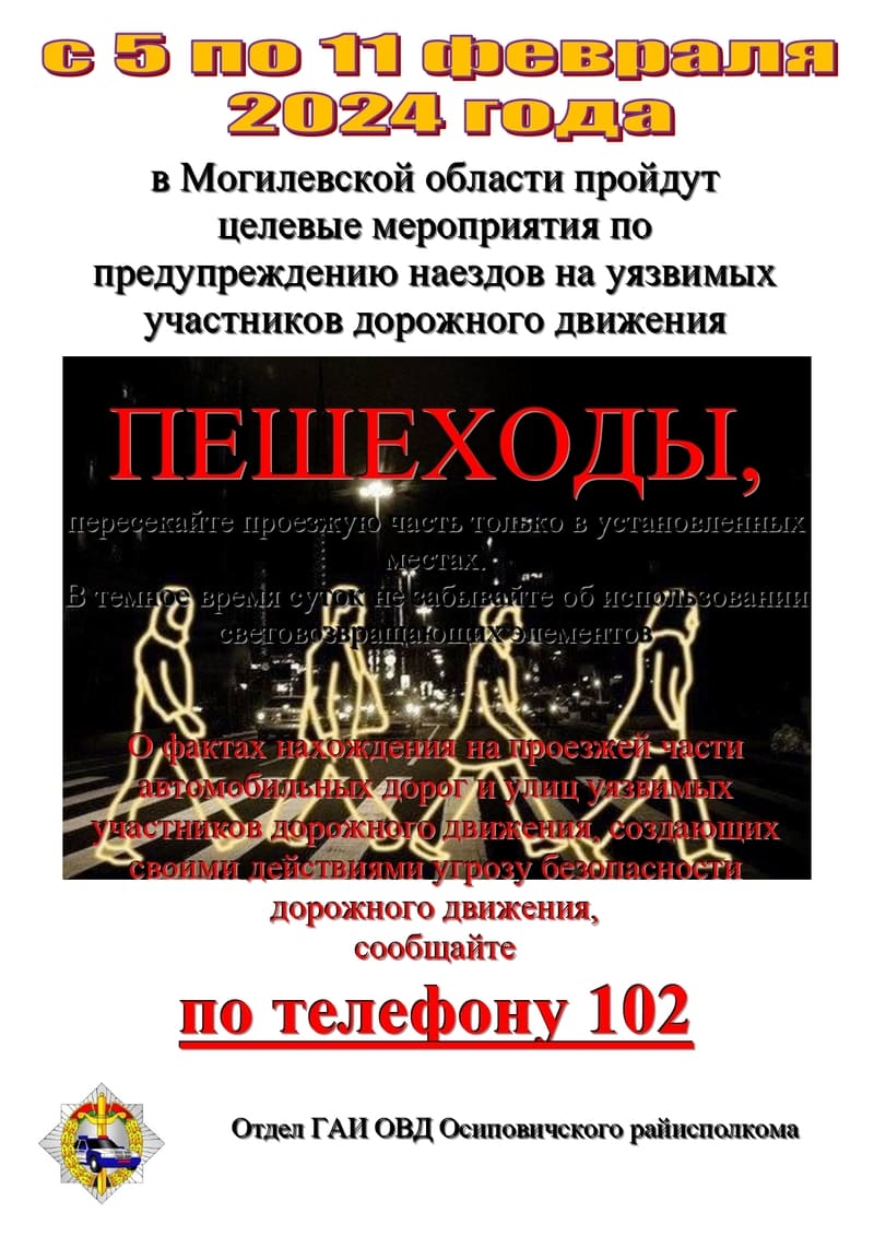 С 5 по 11 февраля Госавтоинспекция проводит целевые мероприятия по предупреждению наездов на уязвимых участников дорожного движения