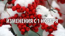 Что изменится в Беларуси с 1 ноября