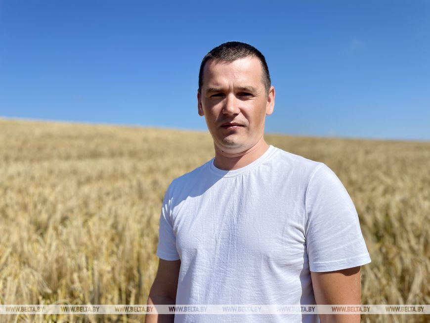 Оправданная ставка на эксперимент: урожай озимого ячменя собирают в «Александрийском»
