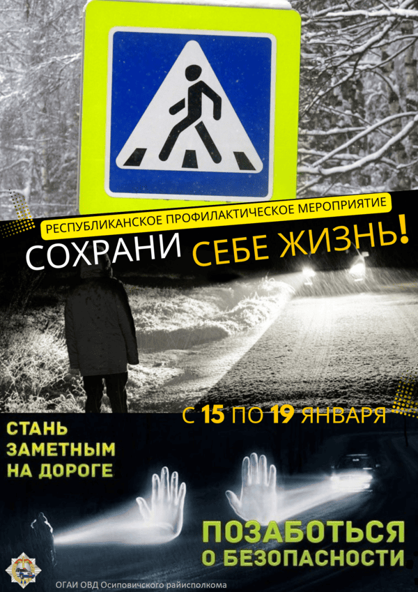 Информационные материалы для проведения профилактических работы в рамках республиканского мероприятия 
«Сохрани себе жизнь!» (с 15 по 19 января 2025 года)