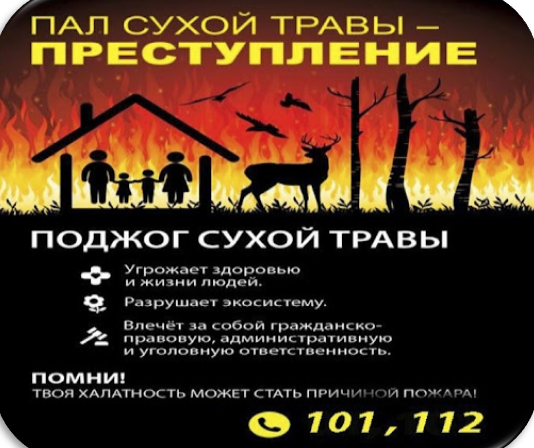Остановите палы сухой растительности! 