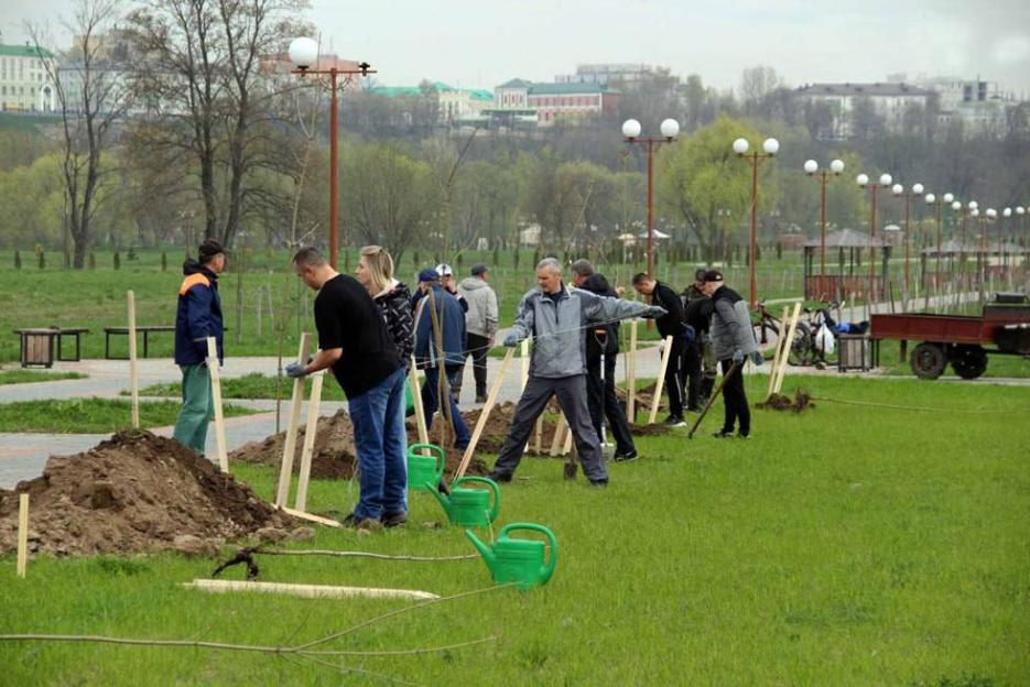О ходе работ по благоустройству и наведению порядка на территории Могилевской области в цифрах