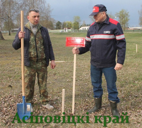 АЛЛЕЯ ПАМЯТИ в честь 75-летия Победы посажена в районе мемориального комплекса "Аллея героев" во время проведения республиканского субботника