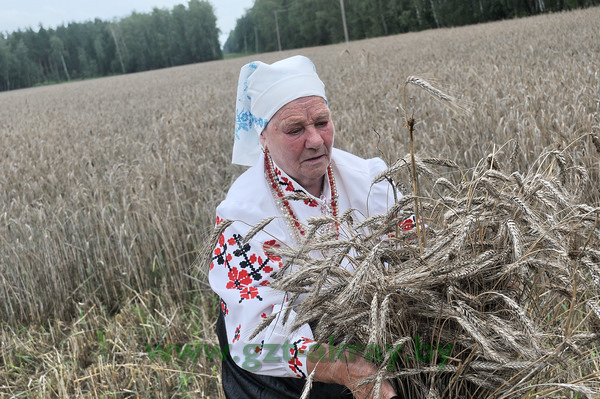 “Слаўлю сноп на сто коп”