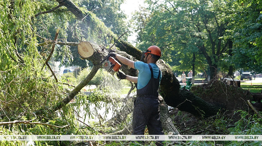 Вальшчыкі з лясгасаў Брэсцкай вобласці дапамагаюць ліквідаваць наступствы ўрагану ў Магілёве