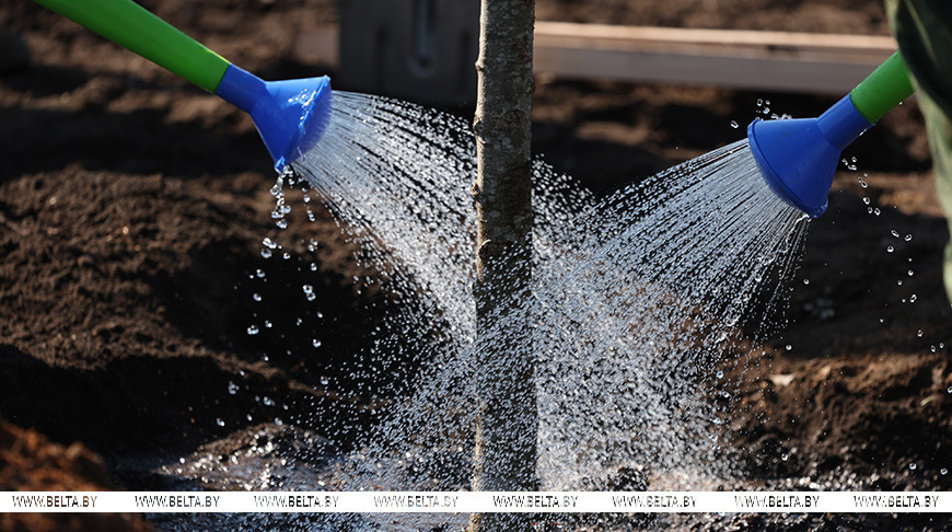 Республиканский субботник прошел в Беларуси